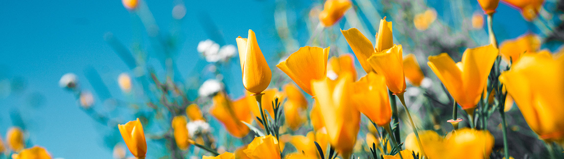 Gruppentherapie Berlin Mitte